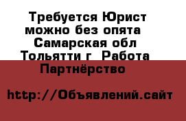 Требуется Юрист, можно без опята. - Самарская обл., Тольятти г. Работа » Партнёрство   
